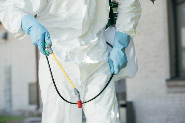 Contrôle des nuisibles : solutions bio pour un habitat sain