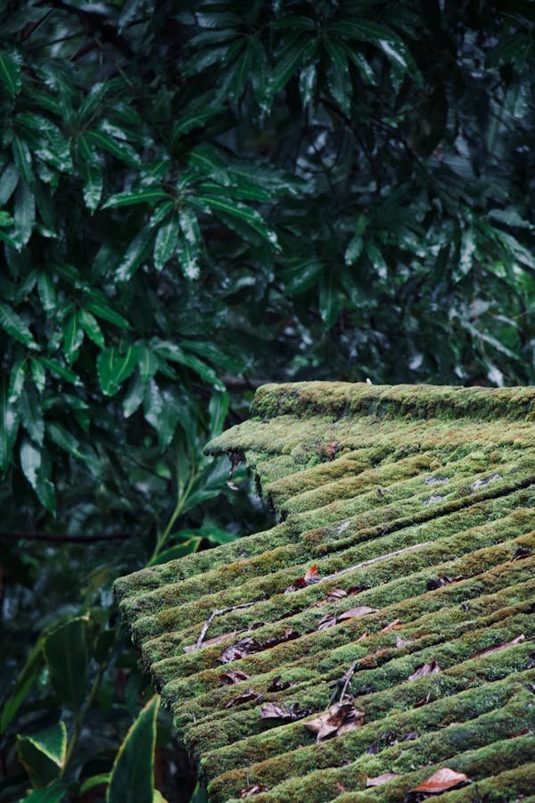 Nettoyez votre toiture et façade en toute confiance avec un drone